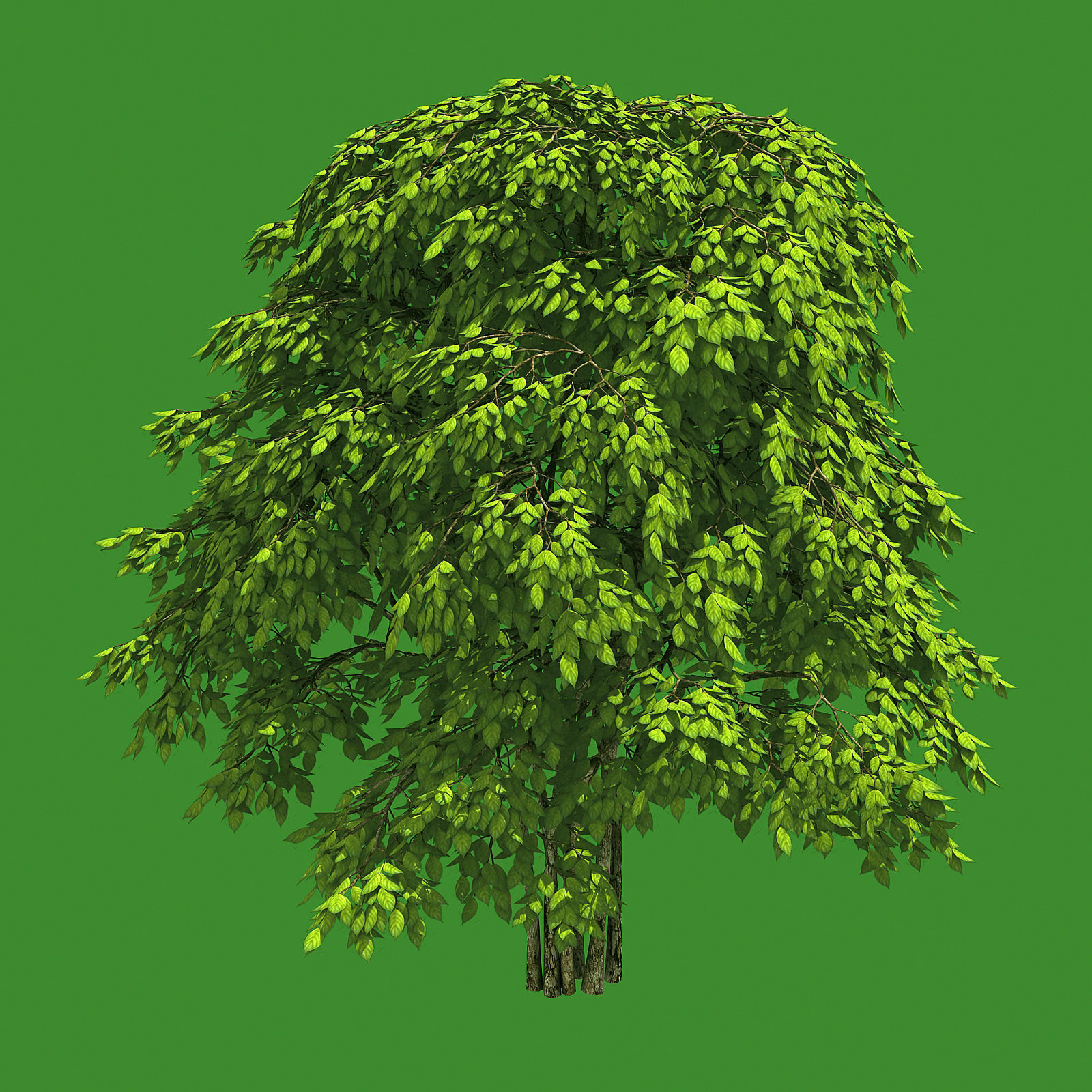 Forest - Red Bean 19 3D model_1