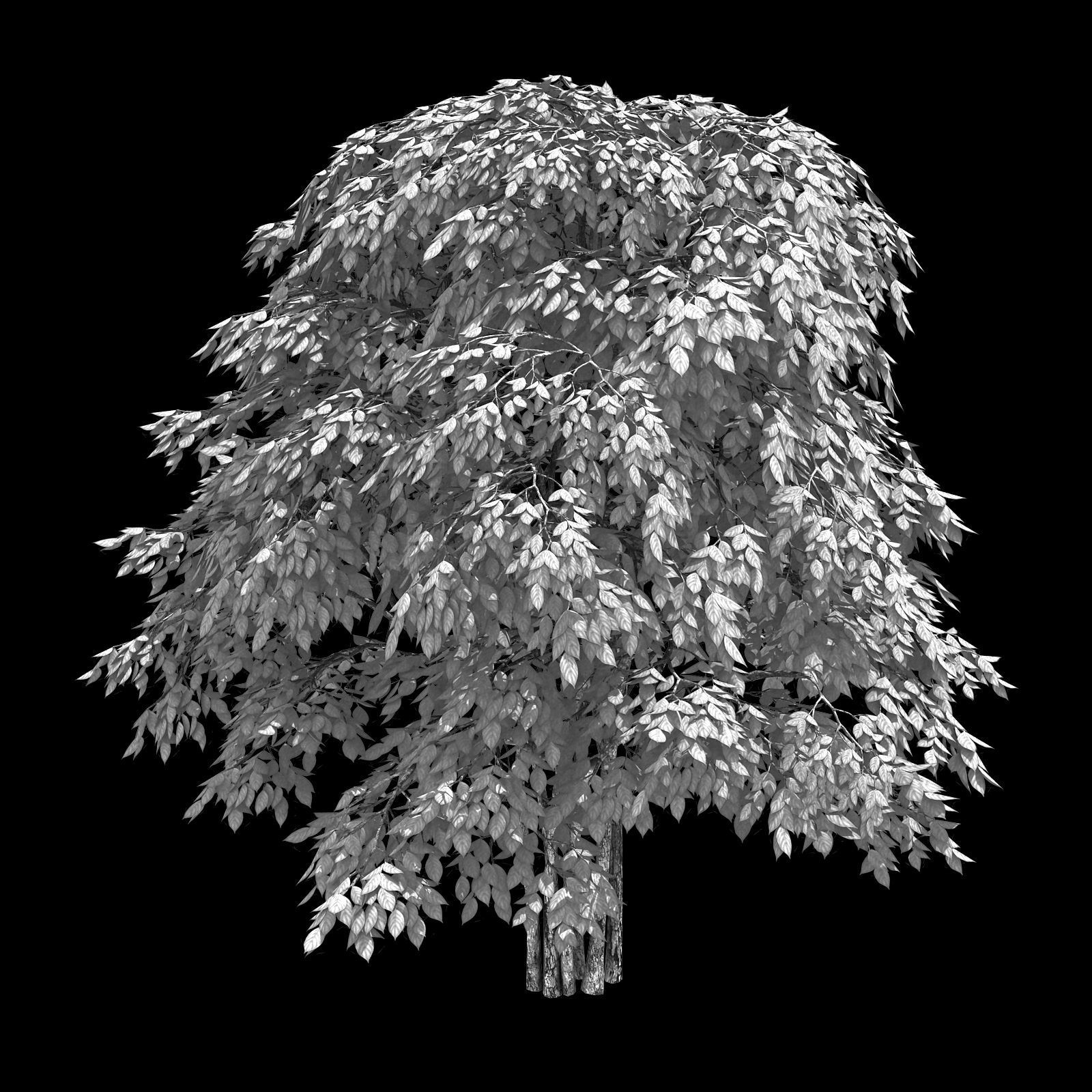 Forest - Red Bean 19 3D model_2