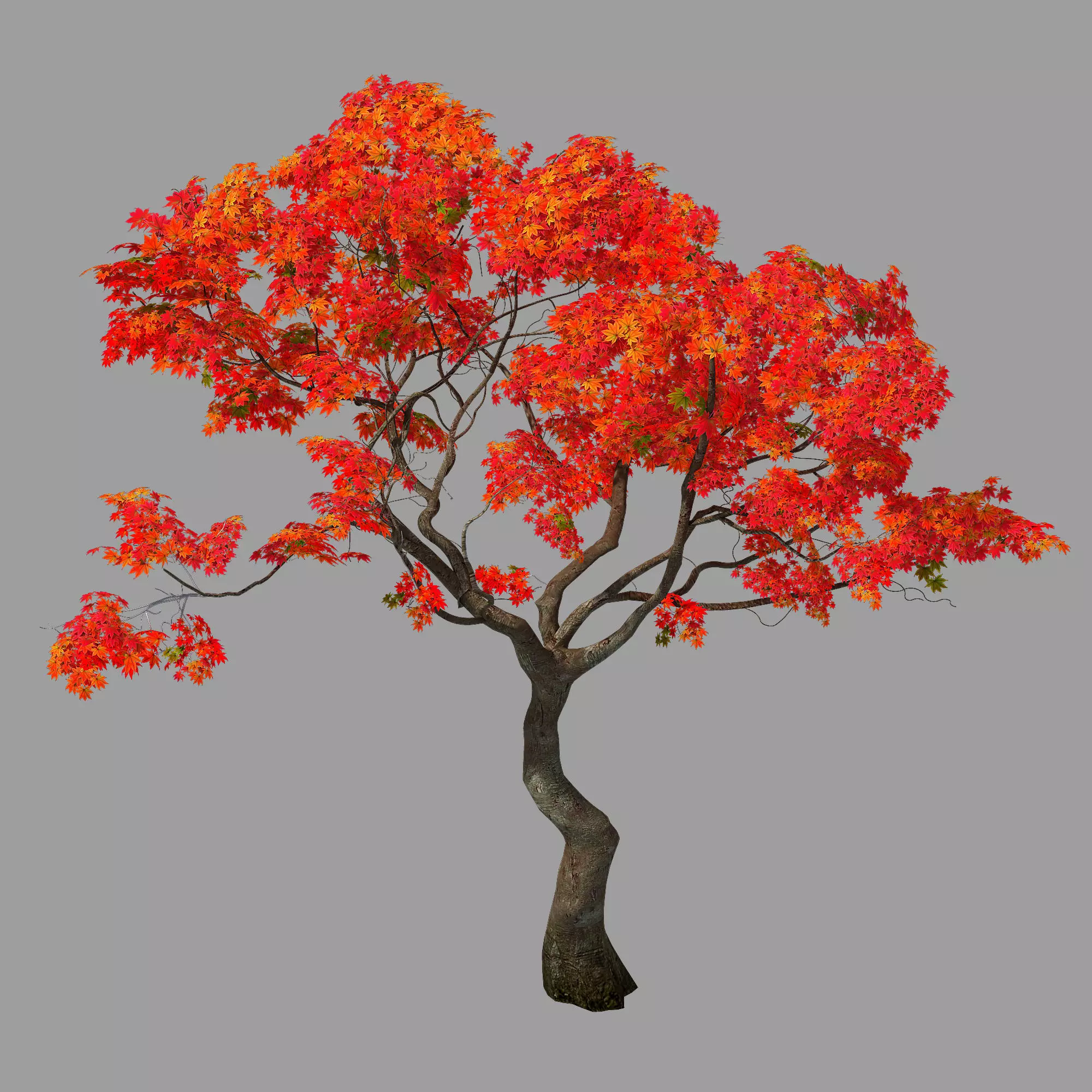 Forest - Red Tree 01 3D model