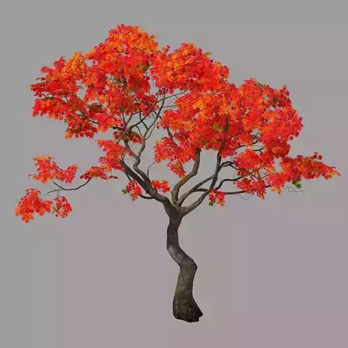 Forest - Red Tree 01