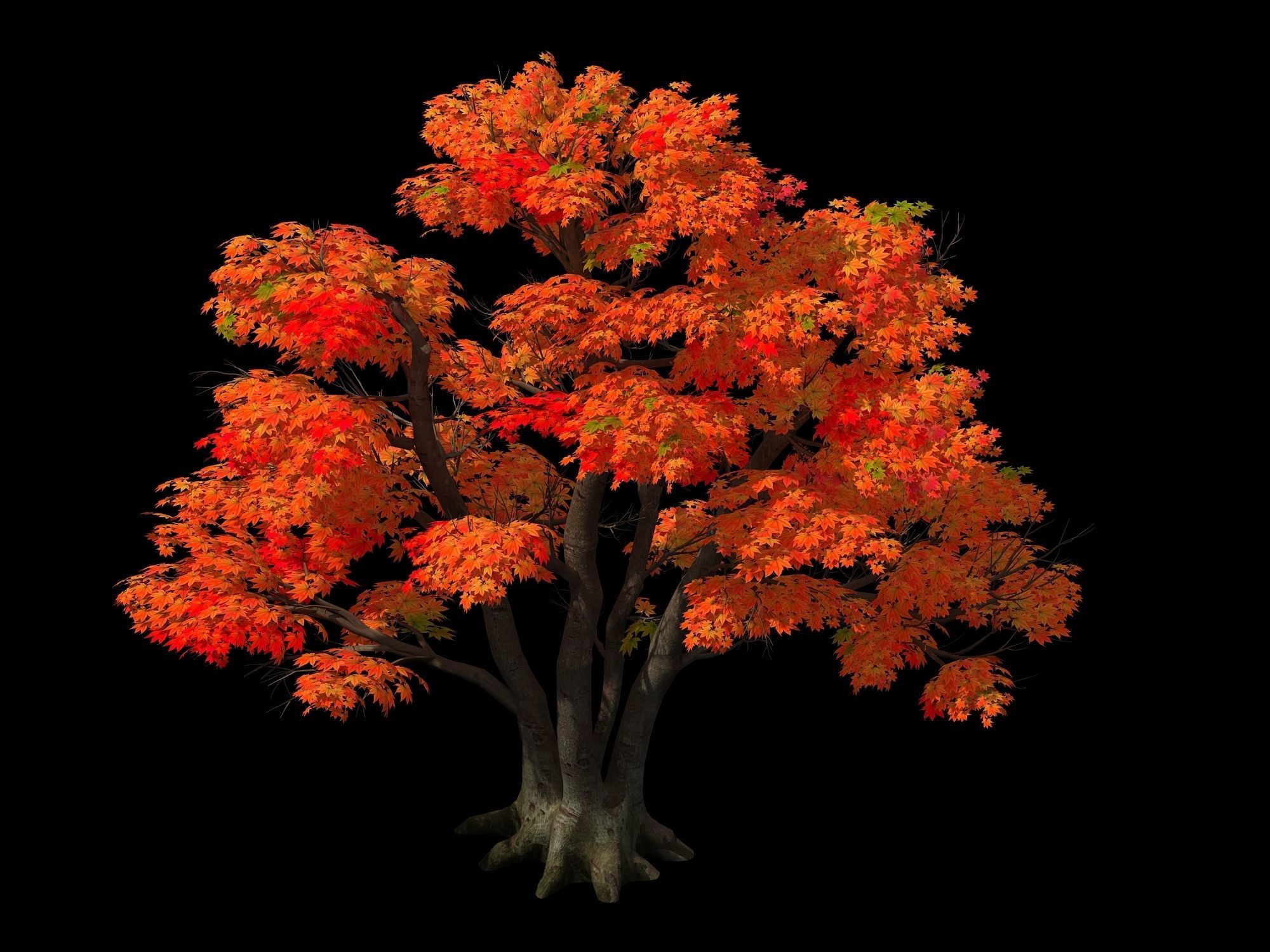 Forest - Red Tree 02 3D model_1