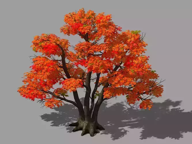 Forest - Red Tree 02