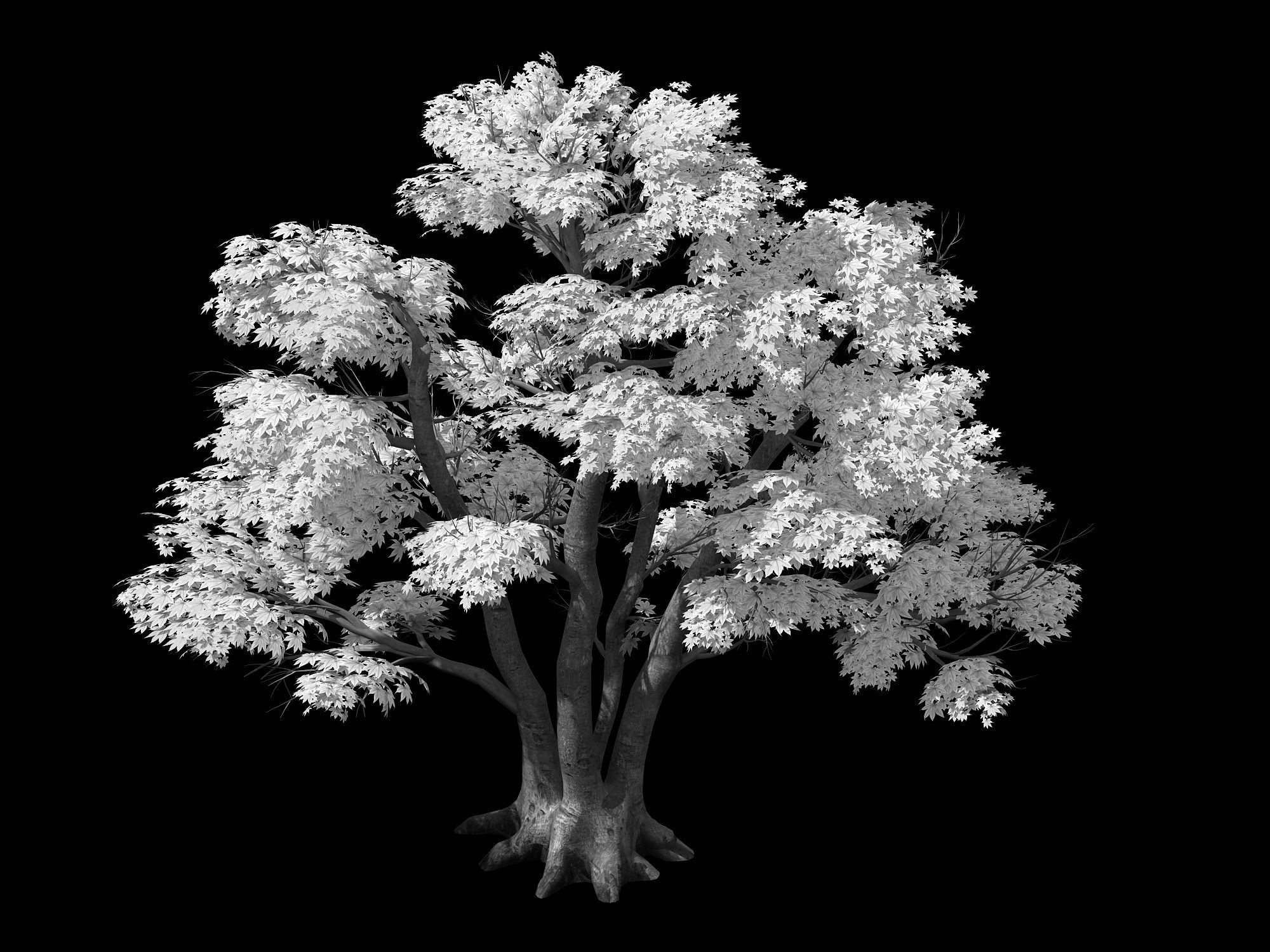 Forest - Red Tree 02 3D model_2