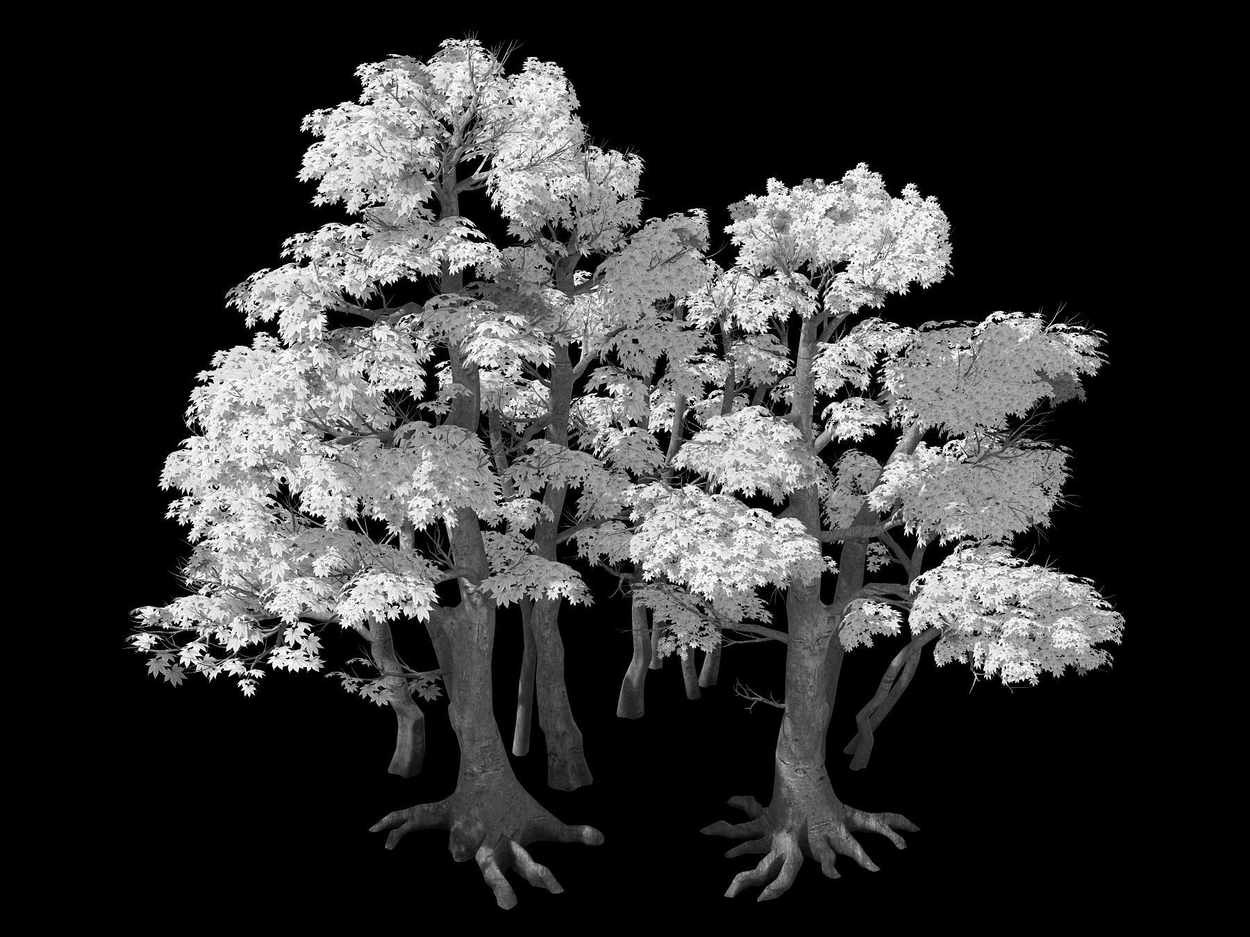 Forest - Red Tree 03 3D model_2