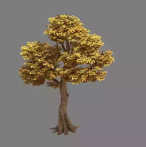 Forest - Populus 001