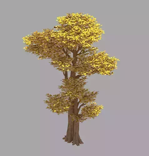 Forest - Populus 002