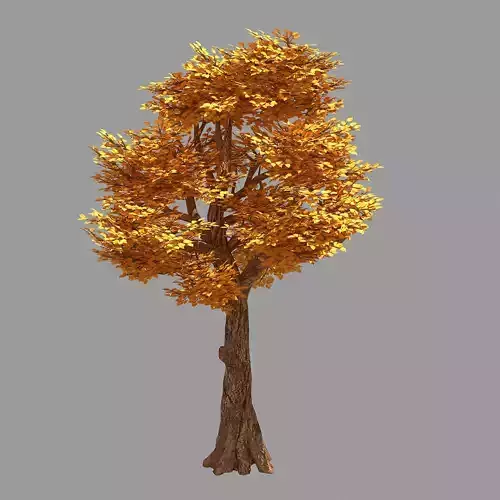 Forest - Populus 004