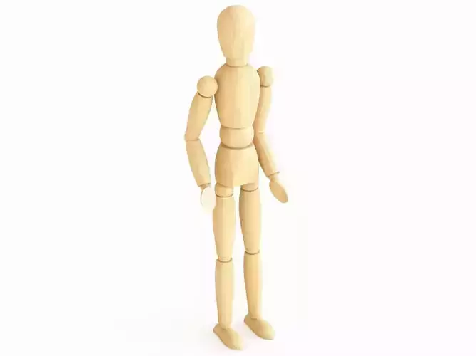 Dummy wooden mannequin