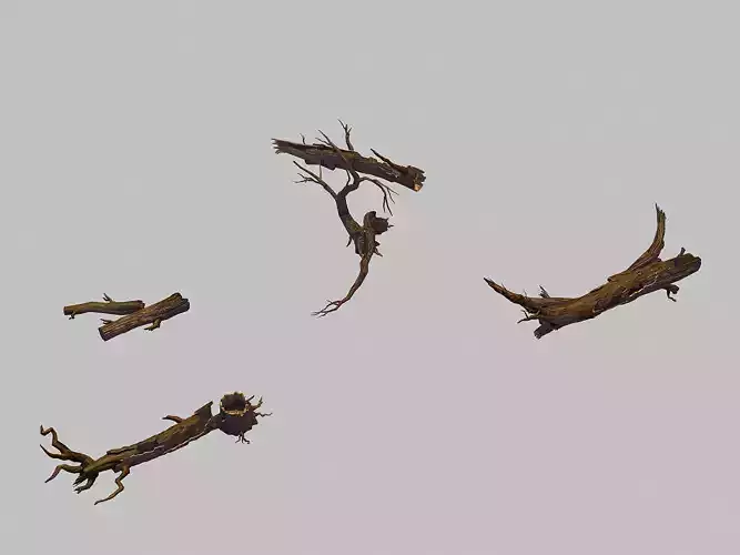 Forest - Deadwood 688