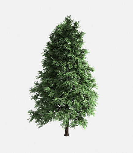Forest - Scotia Pine 25 3D model