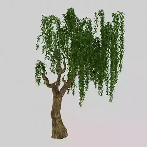 Forest Plant - Willow 92