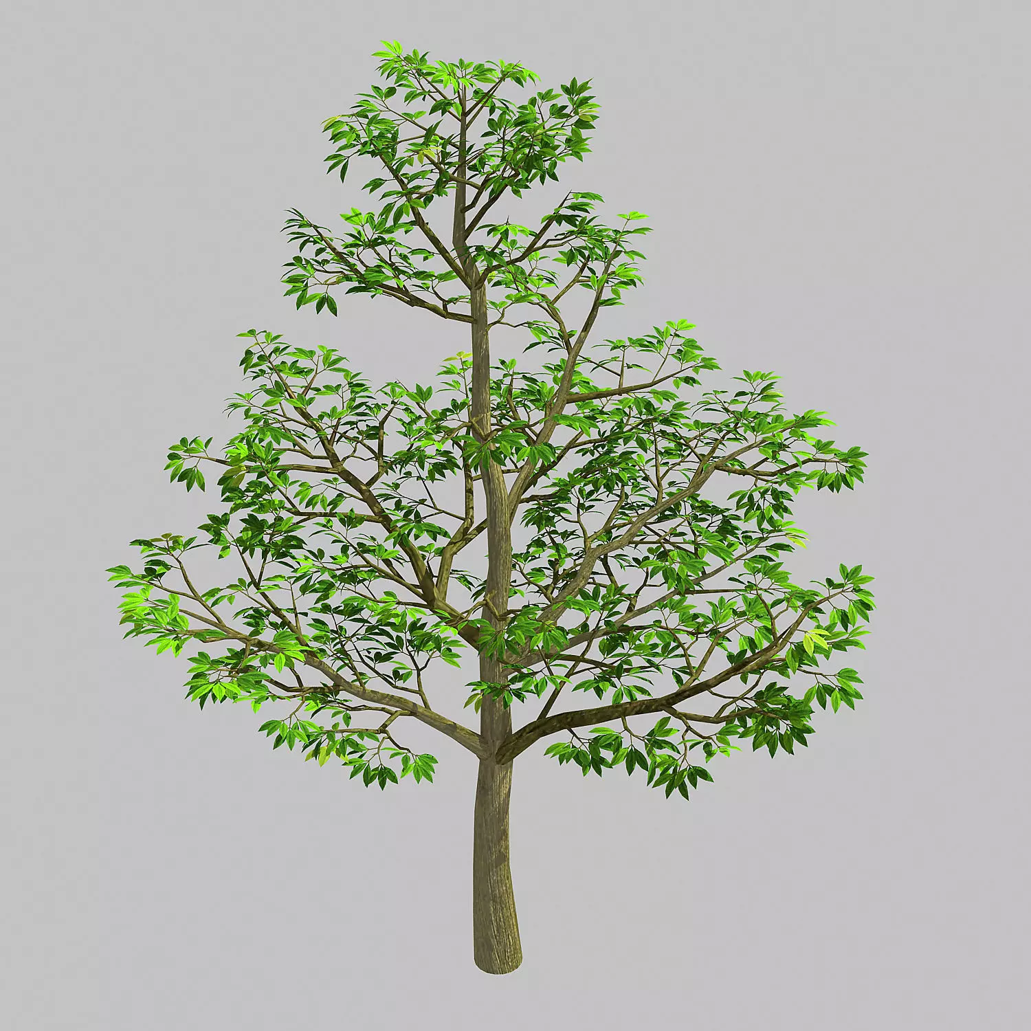 Forest Plants - Trees 64 3D model_0