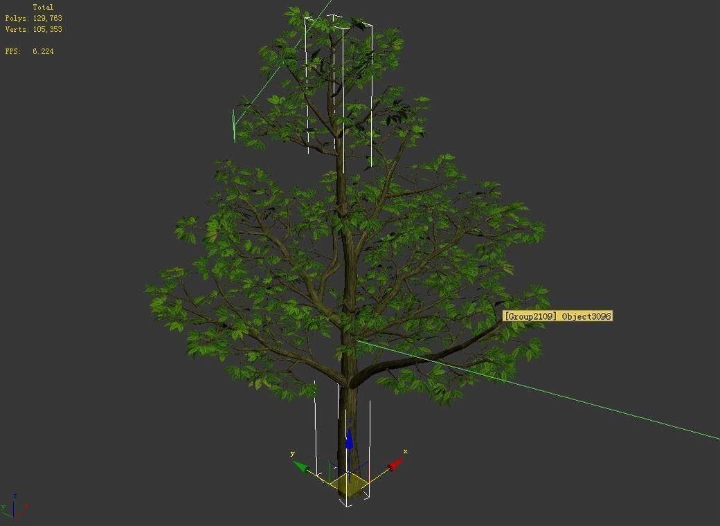Forest Plants - Trees 64 3D model_4