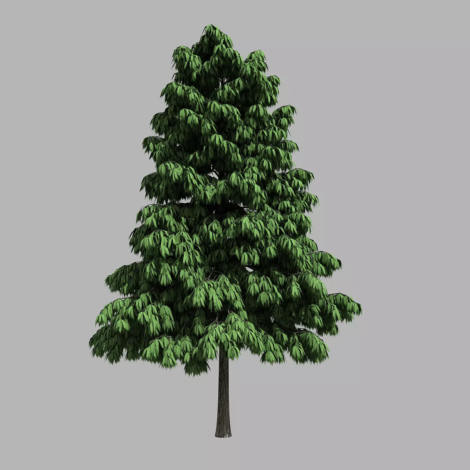 Forest - Medium Eucalyptus 85 3D model_0