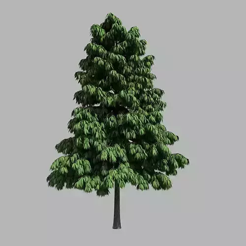 Forest - Medium Eucalyptus 85