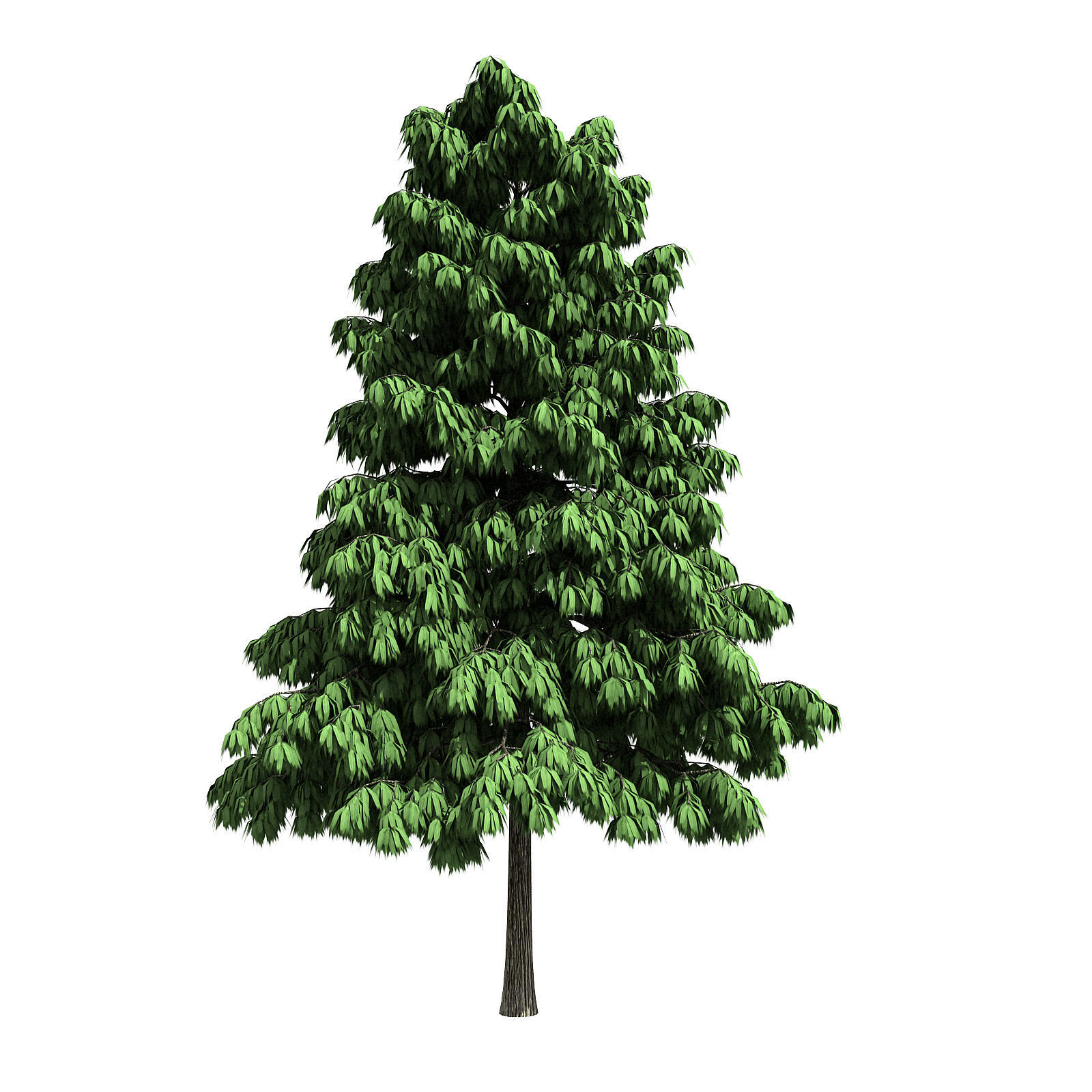 Forest - Medium Eucalyptus 85 3D model_1