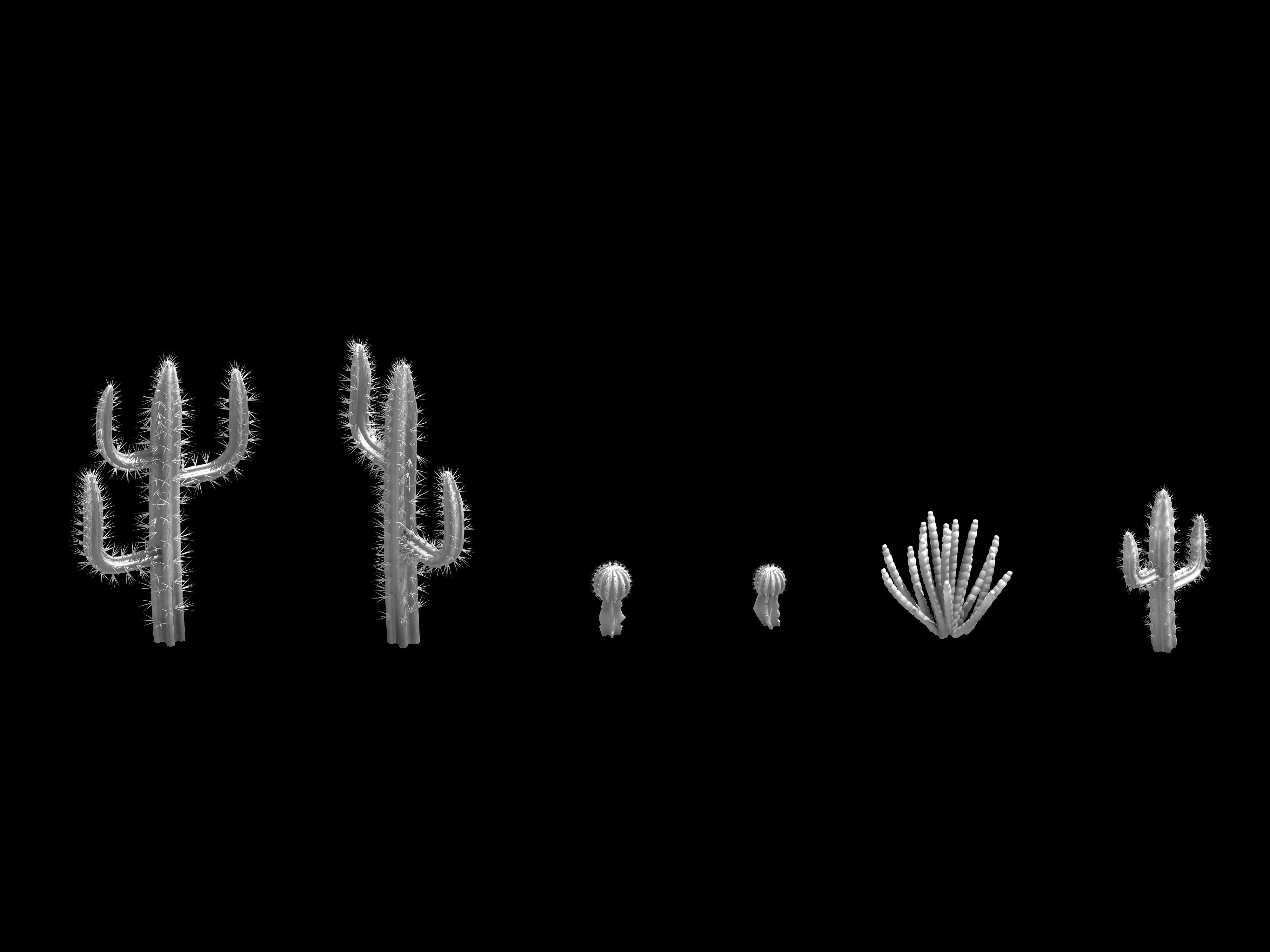 Desert Plant - Cactus 09 3D model_2