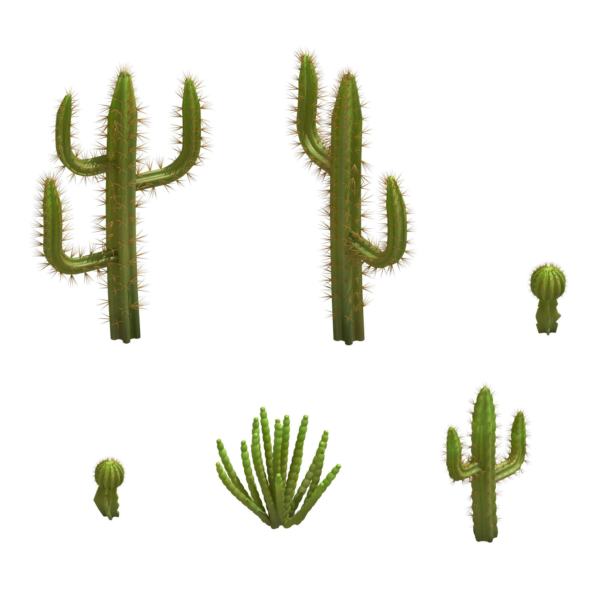 Desert Plant - Cactus 09 3D model_1