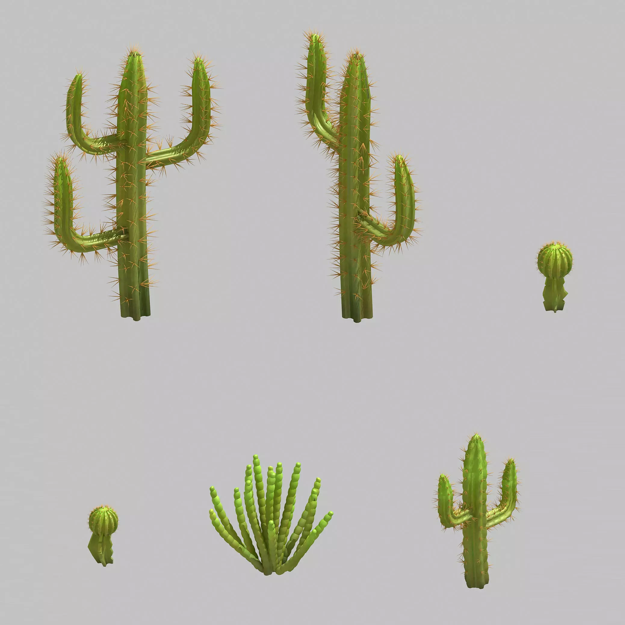 Desert Plant - Cactus 09 3D model_0