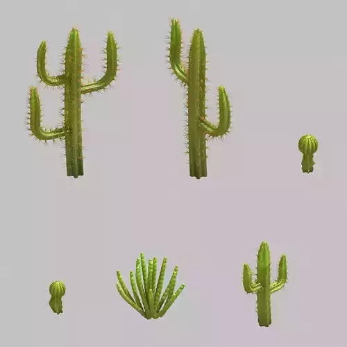 Desert Plant - Cactus 09
