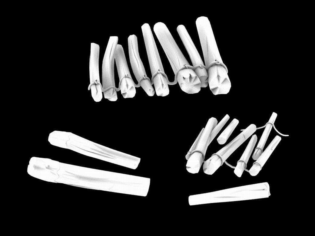 Mountain Wild - Wooden Bridge 03 3D model_2