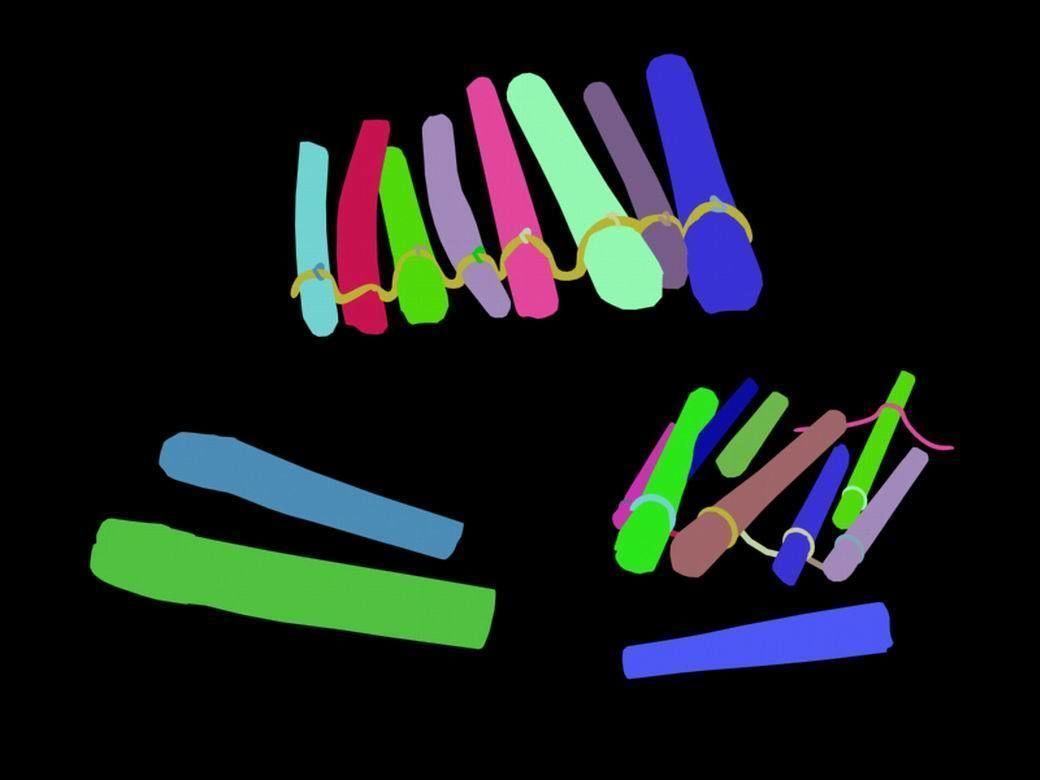 Mountain Wild - Wooden Bridge 03 3D model_3