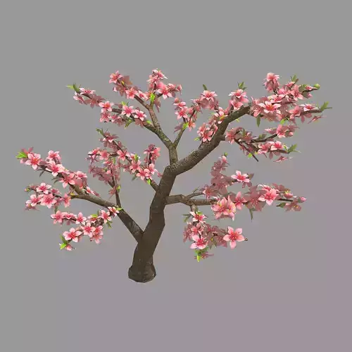 Trees - Peach Trees 23