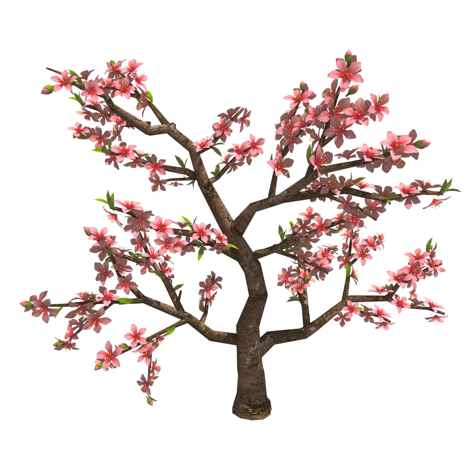 Trees - Peach 27 3D model_1