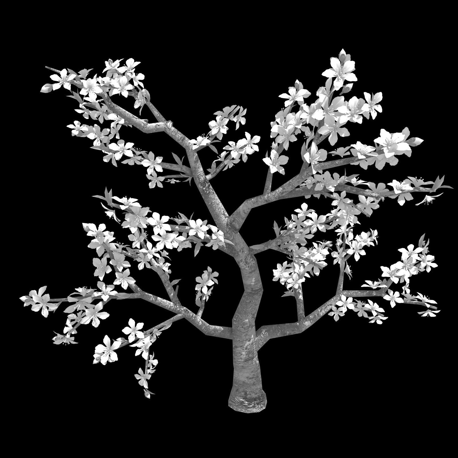 Trees - Peach 27 3D model_2