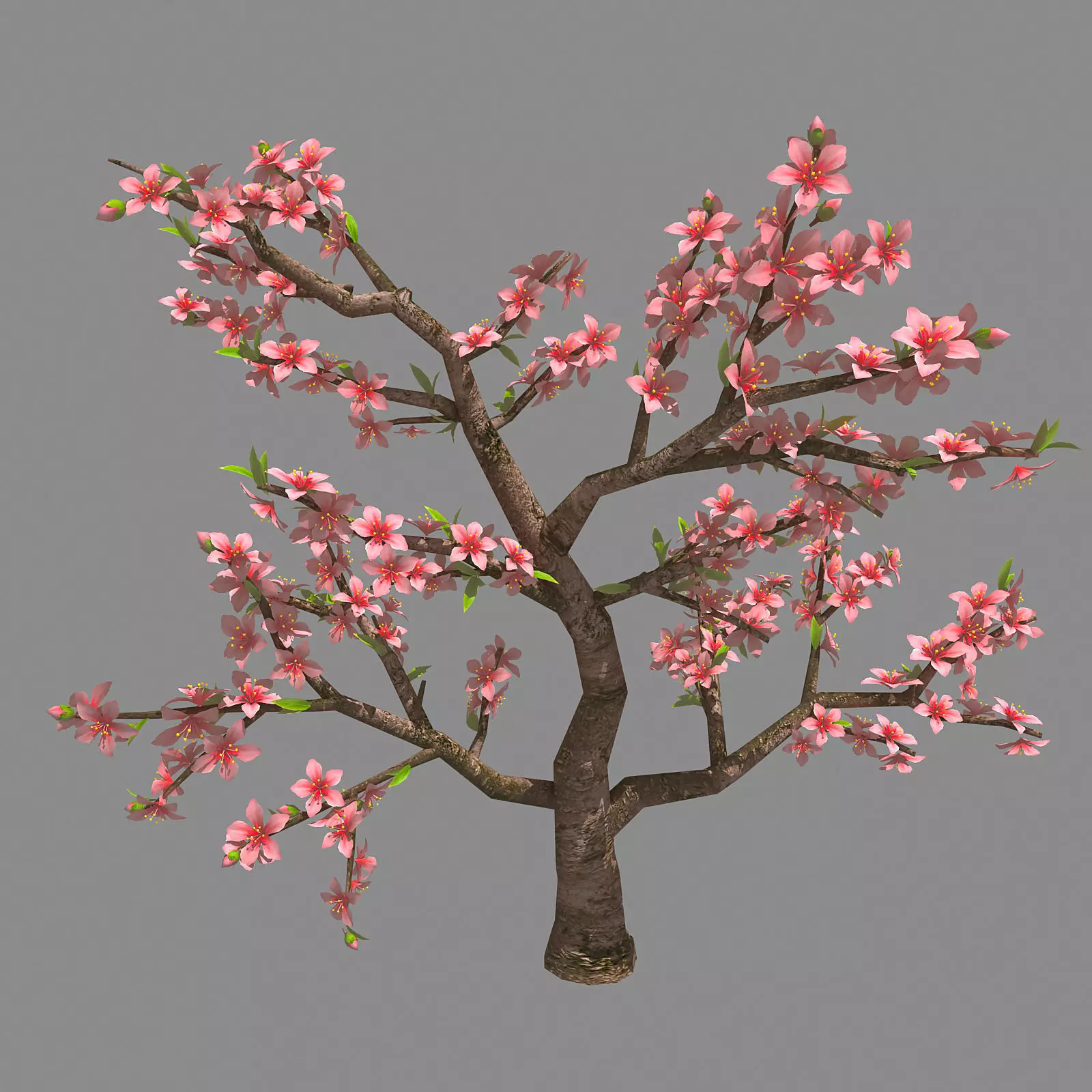 Trees - Peach 27 3D model_0