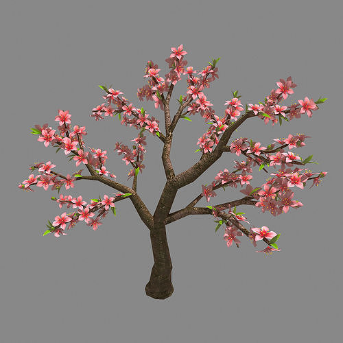 Trees - Peach 28 3D model