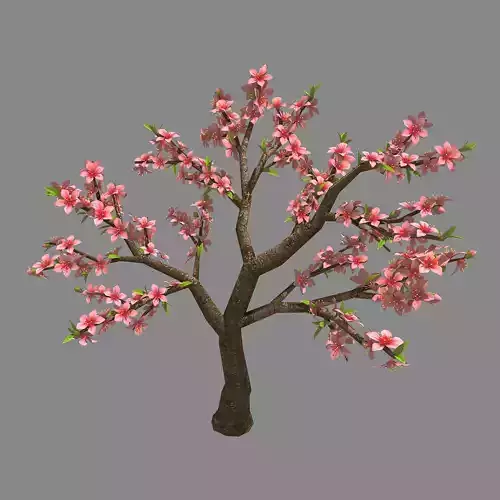 Trees - Peach 28 3D model