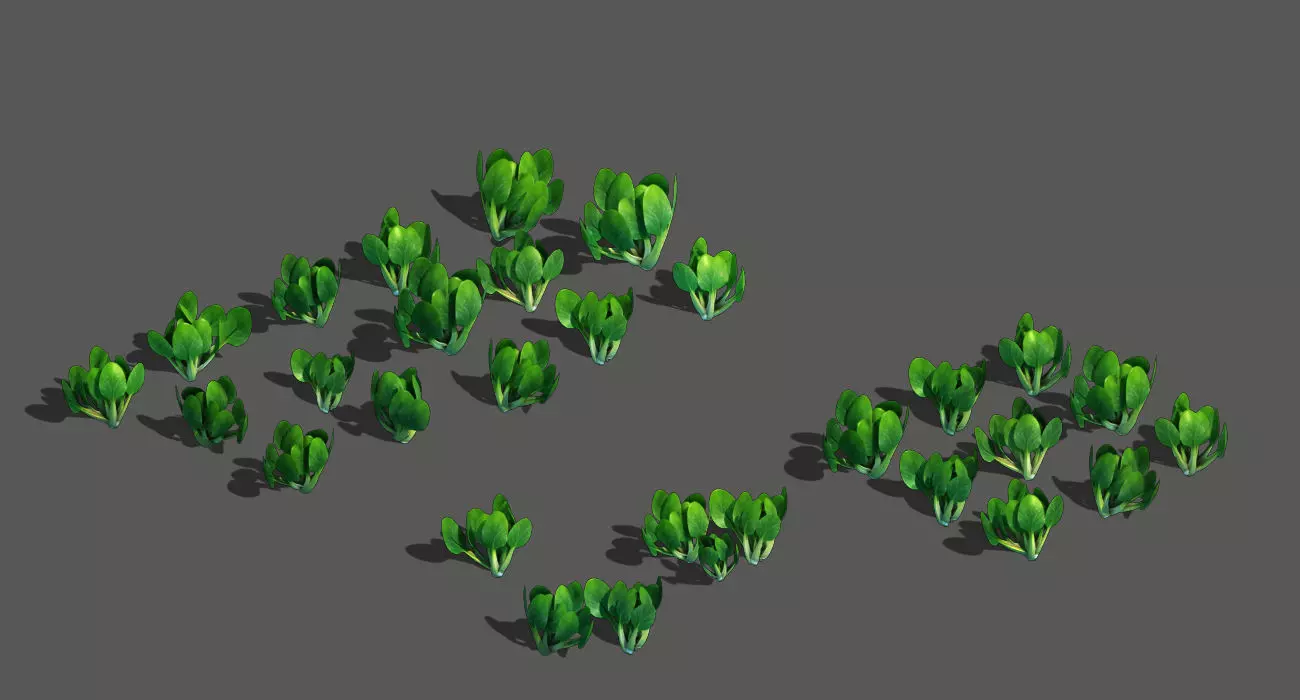 Western Suburbs - Cabbage 32 3D model_0