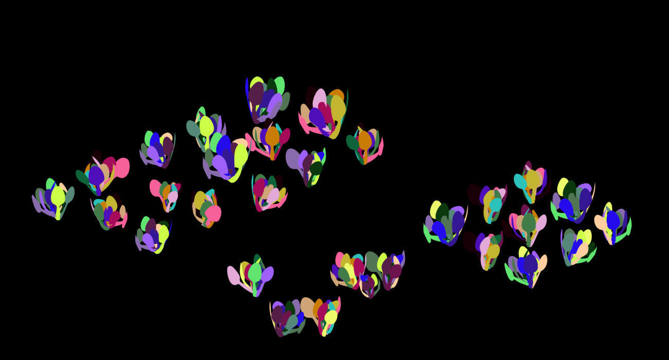 Western Suburbs - Cabbage 32 3D model_2