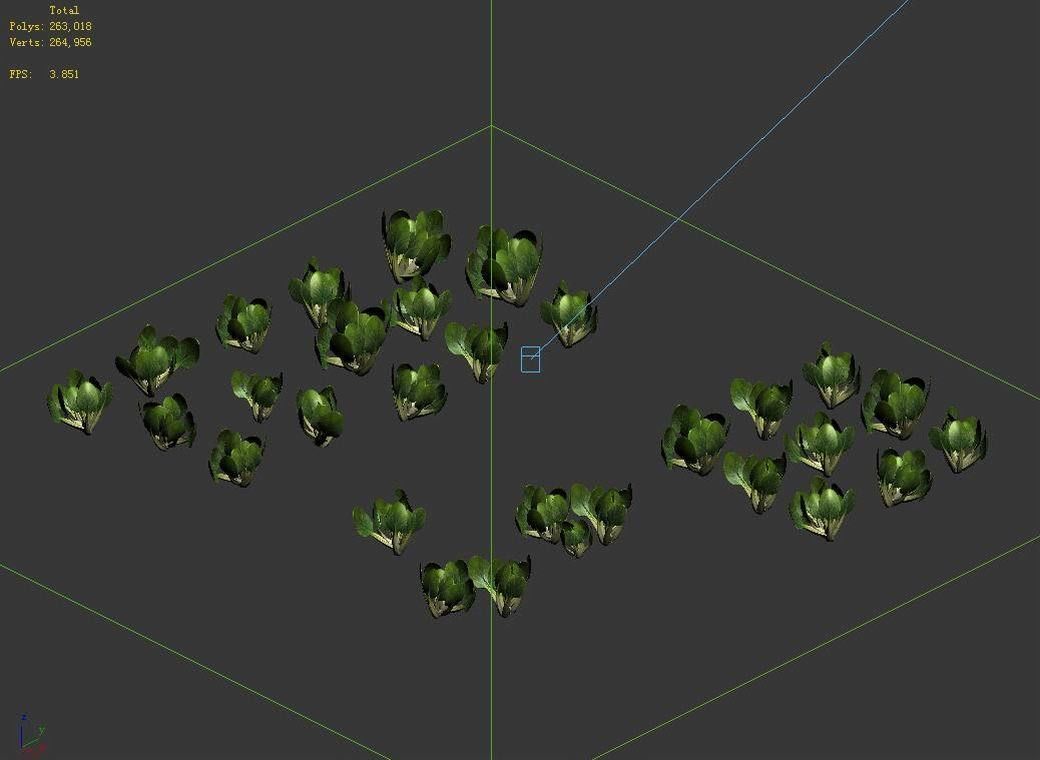 Western Suburbs - Cabbage 32 3D model_6