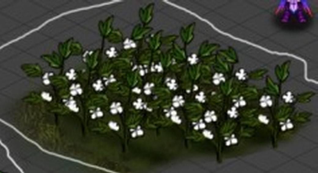 Western Suburbs - Cotton 03 3D model_5