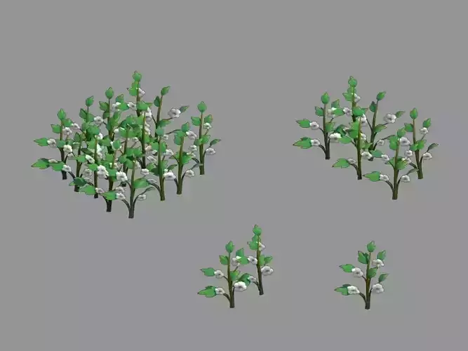 Western Suburbs - Cotton 03