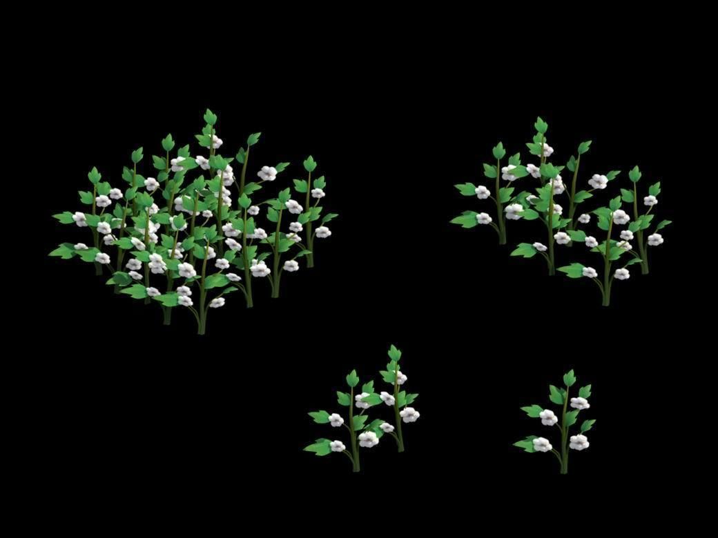 Western Suburbs - Cotton 03 3D model_1