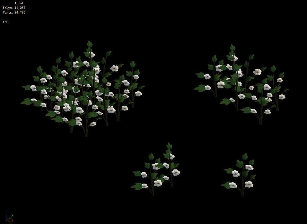 Western Suburbs - Cotton 03 3D model_7