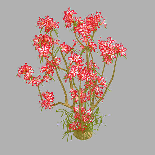 Small Red Plant 08 3D model