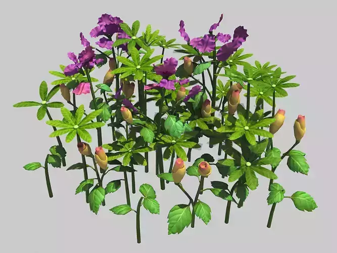 Small Plant - Mountain Flower 37