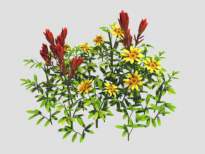 Small Plant - Mountain Flower 42 3D model