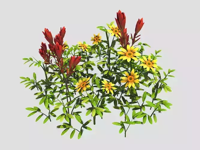 Small Plant - Mountain Flower 42 3D model