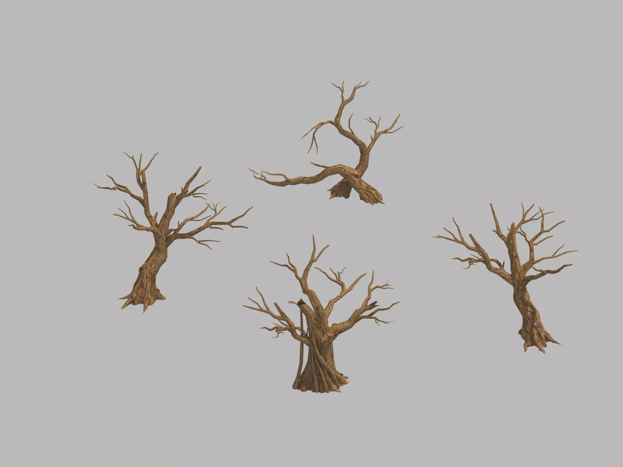 Primitive Desert - Dry Tree 06 3D model