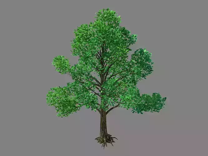 Moon Temple - Tree 02