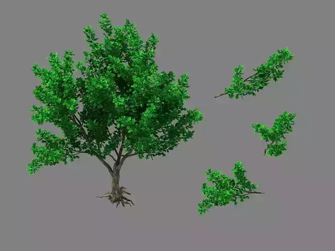 Moon Temple - Tree 03