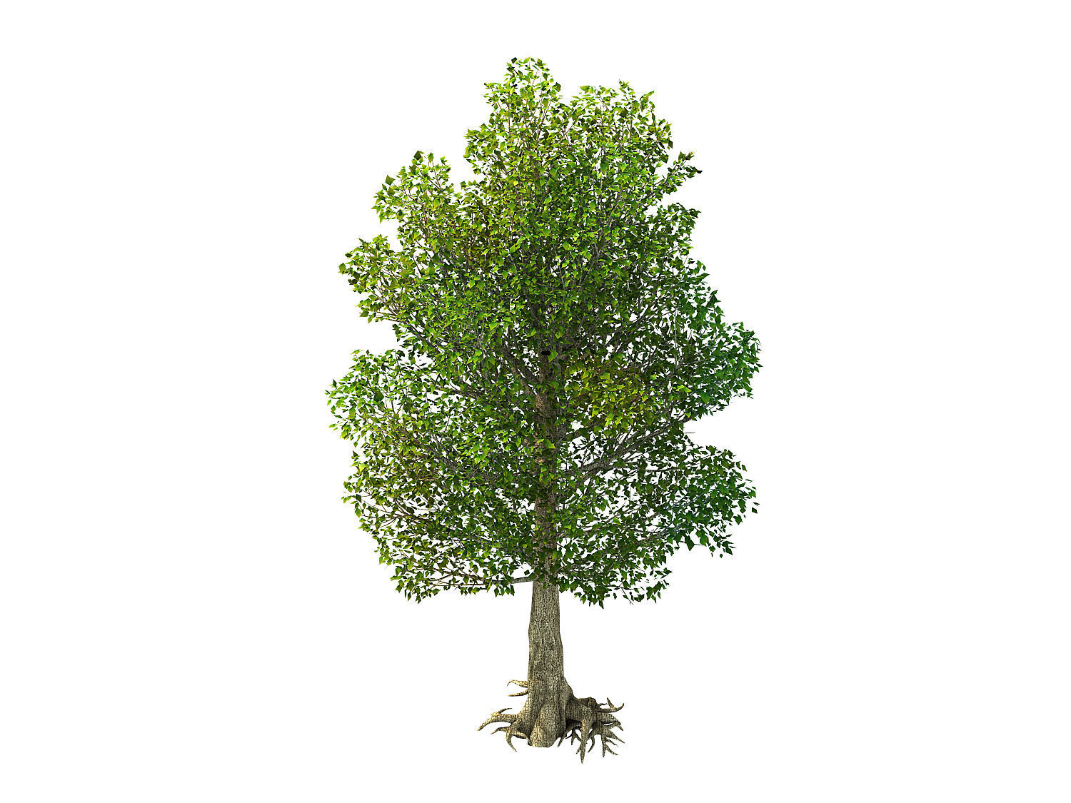 Moon Temple - Tree 04 3D model_1