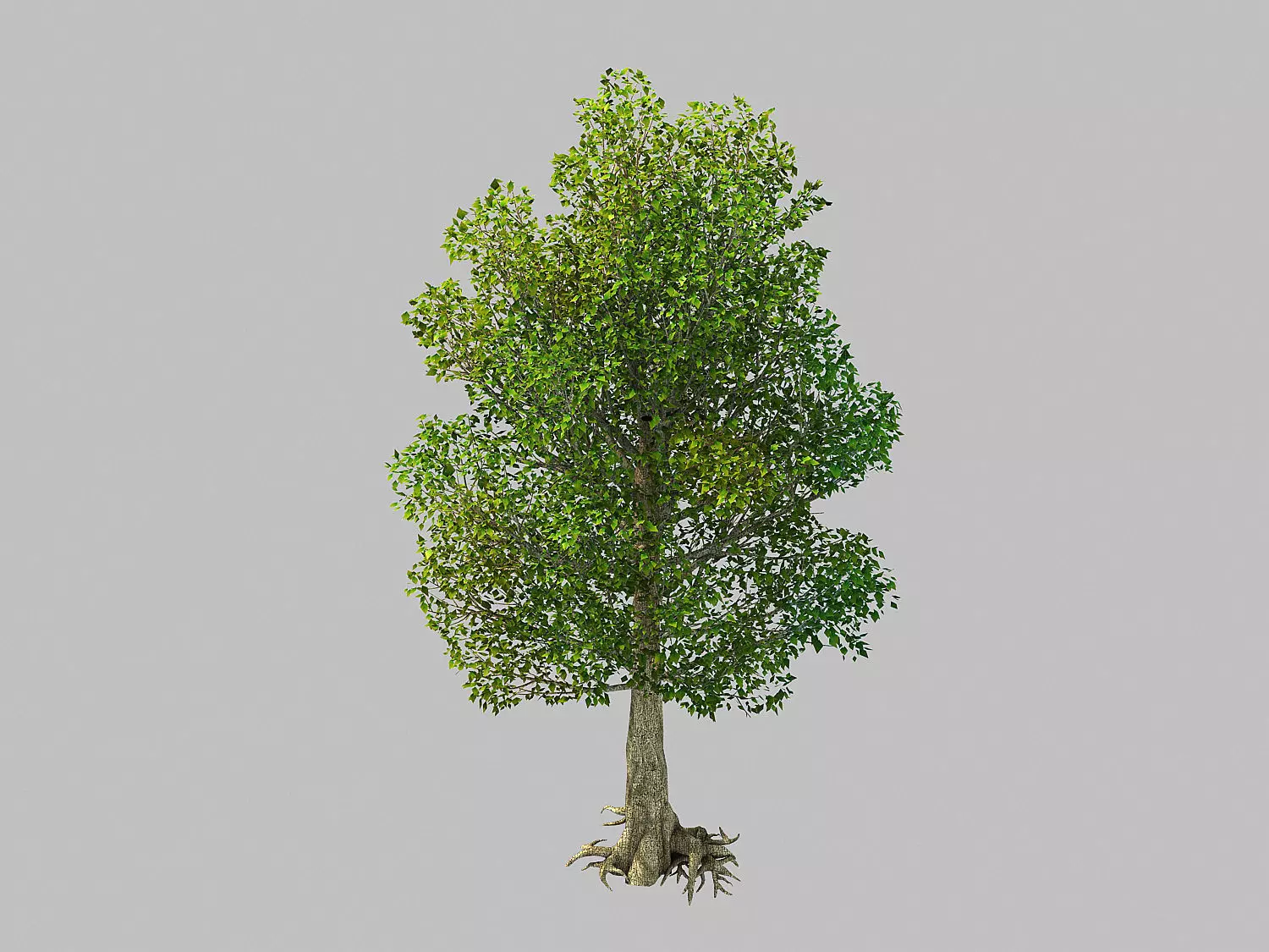 Moon Temple - Tree 04 3D model_0
