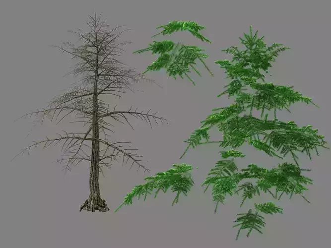 Moon Temple - Pine 01