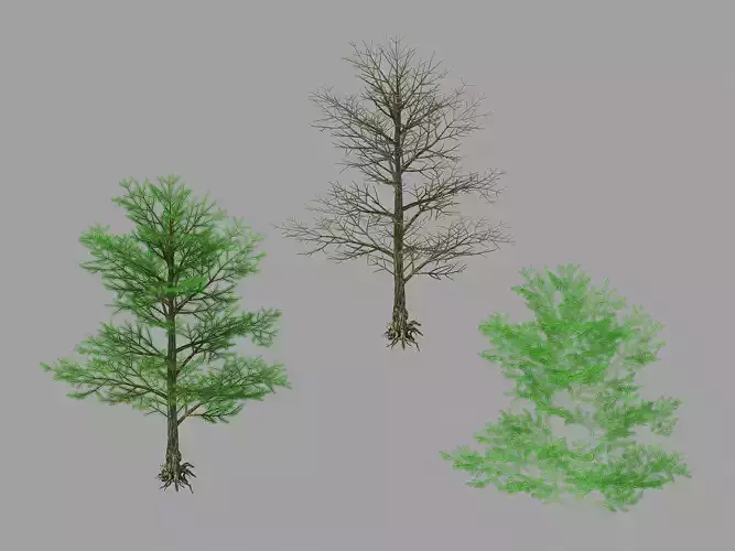 Moon Temple - Pine Tree 02